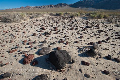 Volcanic Debris Photo, Stock Photo of Volcanic debris, Phillip Colla Natural History Photography