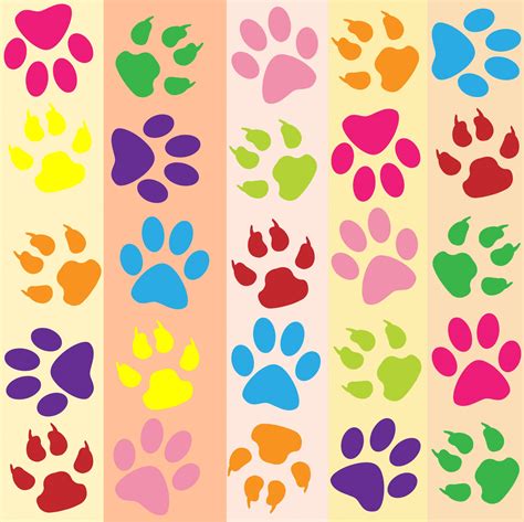 Paw Prints Colorful Wallpaper Free Stock Photo - Public Domain Pictures