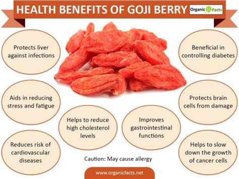 Benefits of goji berry include control of diabetes lowering of cholesterol and free radical ...