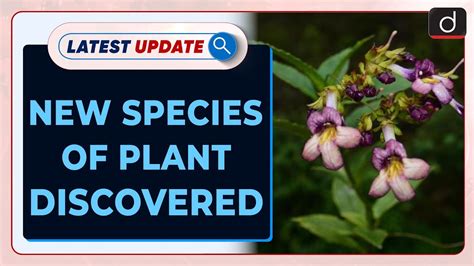 New Species Of Plant Discovered| Latest update | Drishti IAS English ...