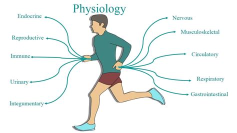 Physiology Assignment Help | Physiology, Cell theory, Systems biology