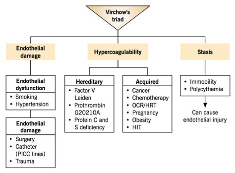 Etiology of venous thromboembolism – Virchow’s triad | Nursing school notes, Nursing exam ...