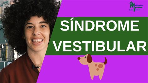 Síndrome Vestibular en Perros - YouTube