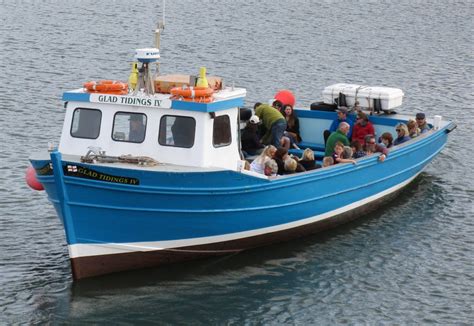 billy shiels boat trip farne islands puffin