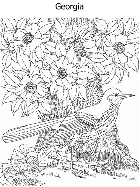 Georgia State Flag Coloring Page - Coloring Home