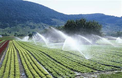 SPRINKLER SYSTEM IRRIGATION | Download Scientific Diagram