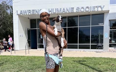 Lawrence Humane Society adopts out 159 animals during Clear the Shelter Day | News, Sports, Jobs ...