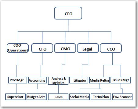 Organizational Structure