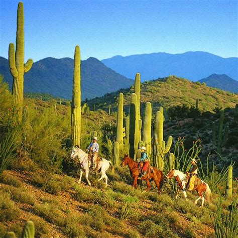 Rancho de Los Caballeros Historic Dude Ranch | Visit Arizona