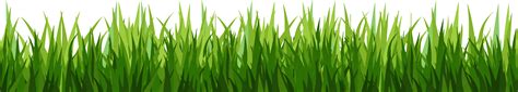 Grass clipart clear background, Grass clear background Transparent FREE for download on ...
