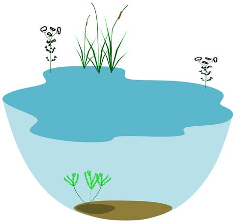 Lake clipart. Free download transparent .PNG | Creazilla