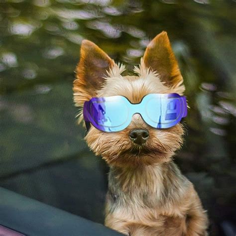 PEDOMUS Dog Sunglasses Dog Goggles Adjustable Strap for Travel