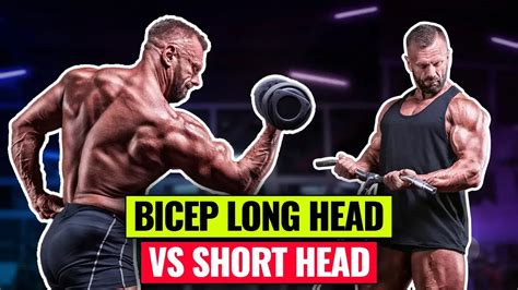 6 Bicep Long Head Vs Short Head Exercises For Intense Arm Growth