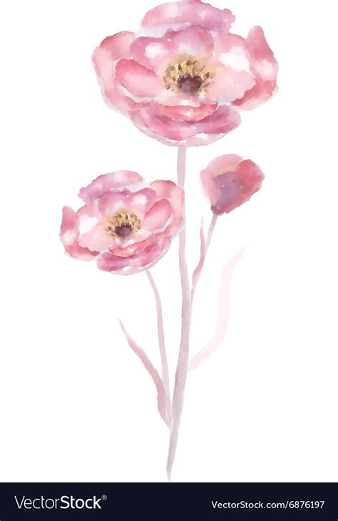 Pink watercolor flower Royalty Free Vector Image