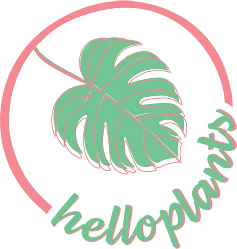 Houseplant + Accessories | House Plants Delivery – Helloplants