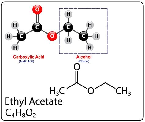 What Are Esters? - Formation, Properties And Uses » ScienceABC