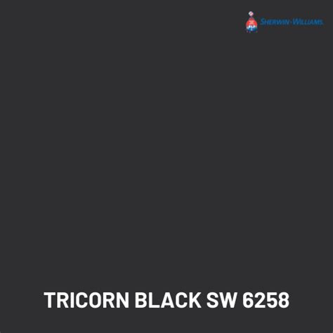 Tricorn Black SW 6258 From Sherwin Williams | Mr. Happy House