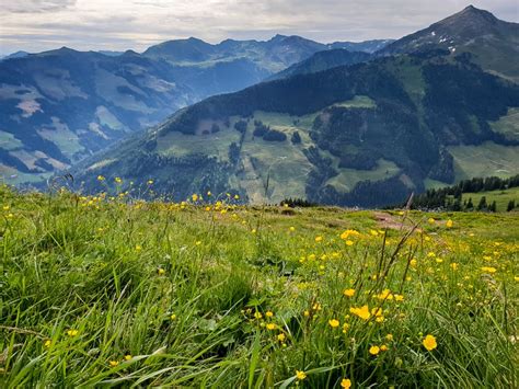 10 reasons to visit Alpbach in Summer | The Travelbunny