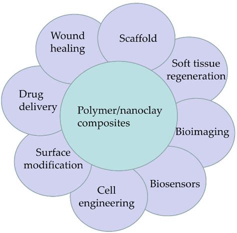 Various biomedical applications of polymer/nanoclay composites ...