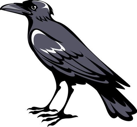 clipart raven 10 free Cliparts | Download images on Clipground 2024