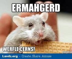 43 Ermahgerd animals ideas | ermahgerd, animals, funny animals