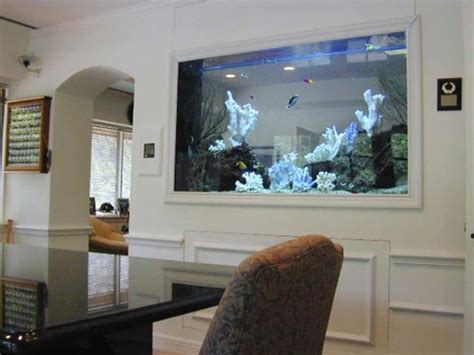 How to make wall aquarium and wall fish tank DIY, wall mounted aquarium wall aquarium Diy, wall ...