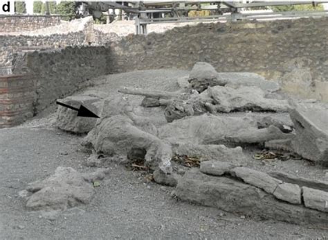 Eruption of Mount Vesuvius in 79 AD suffocated thousands in Pompeii in just 15 minutes | Daily ...