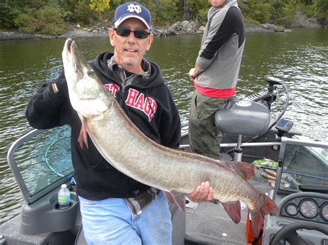 Big muskie caught on Lake of the Woods in X, ON on 9/5/2012 | MuskieFIRST