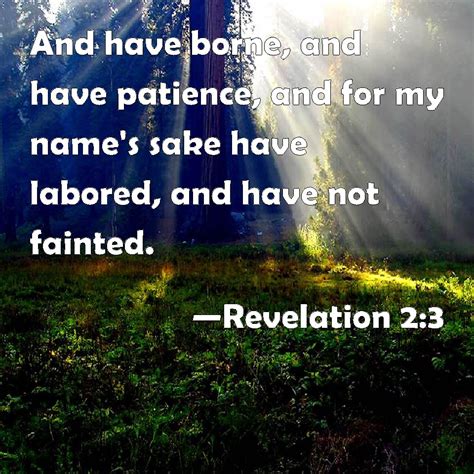 Revelation 2:3 And have borne, and have patience, and for my name's sake have labored, and have ...