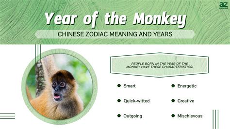 Year of the Monkey: Chinese Zodiac Meaning and Years - A-Z Animals