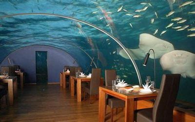 Hilton Maldives Underwater Restaurant » Funny, Bizarre, Amazing Pictures & Videos