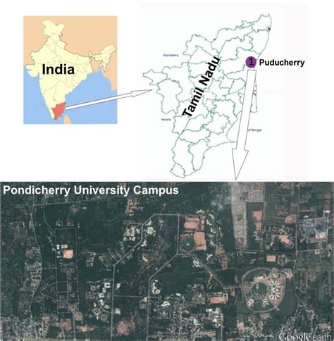 Pondicherry University Campus Map - Gracia Georgeanne