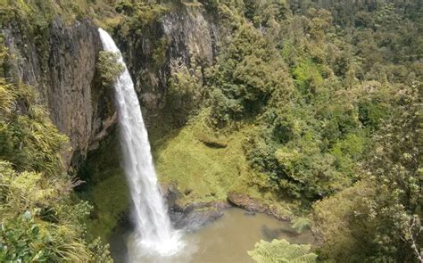 Discover the Breathtaking Waikato Waterfalls - WaikatoNZ