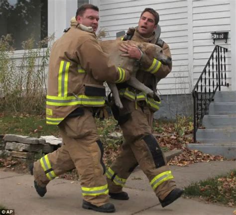 22 bomberos que arriesgaron sus vidas para salvar a un animal ¡Tienen el cielo ganado ...