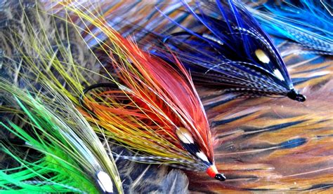 Salmon and Steelhead SPEY Flies