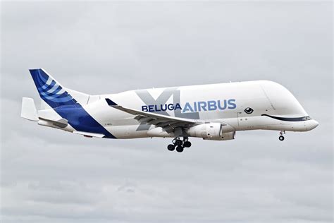 Airbus Beluga XL - Price, Specs, Photo Gallery, History - Aero Corner