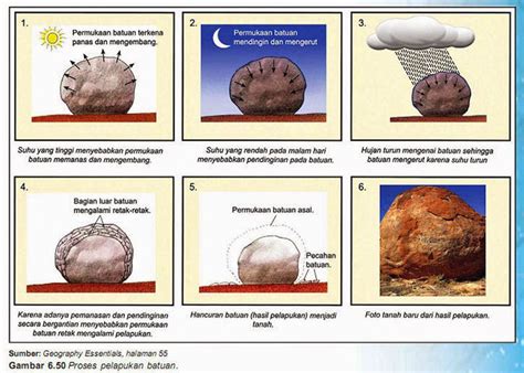 Jenis Pelapukan Kimia Biologi Dan Fisika Mekanik - Riset