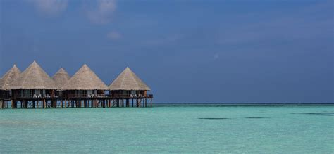 Best Fiji Overwater Bungalows in 2024 - tripbirdie.com