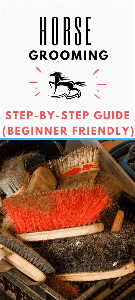 Horse Grooming 101: A Complete Guide for Beginners – Equestrian Boots and Bridles