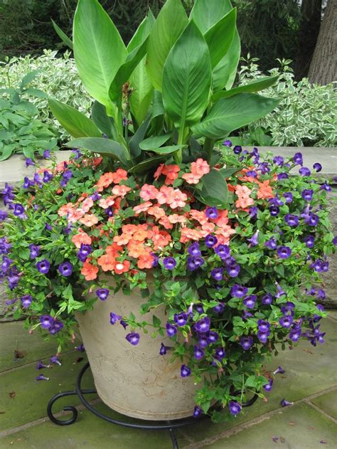 Award Winning Containers and Seasonal Flowers | Flowerscape | For the Home | Pinterest ...