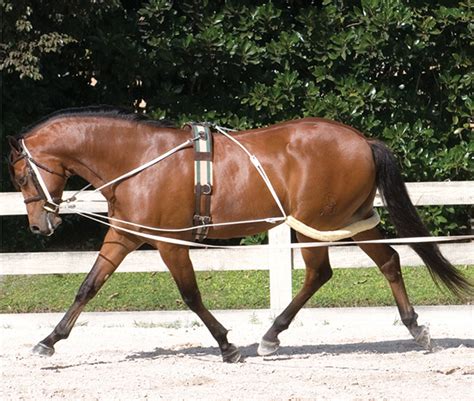 Pessoa Training Aid System Lunging Pony Cob Full Draft Horse Lunge Equipment | eBay