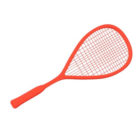 Squash Racket Dimensions & Drawings | Dimensions.com