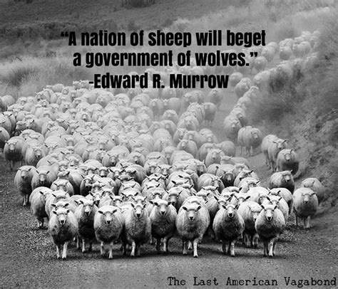 sheep-and-wolves-meme - The Last American Vagabond