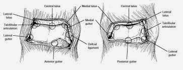 Medical Treatment Pictures-for Better Understanding: Arthroscopic ...