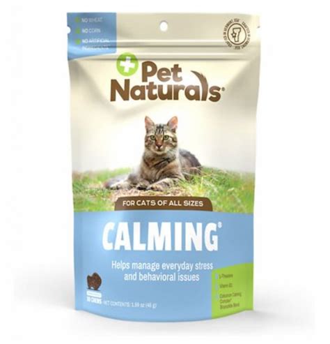 Calming Cat Treats: 7 to Help Your Anxious Feline - Vetstreet | Vetstreet