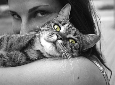Free photo: Animals, Cat, Girl, Happiness - Free Image on Pixabay - 617305