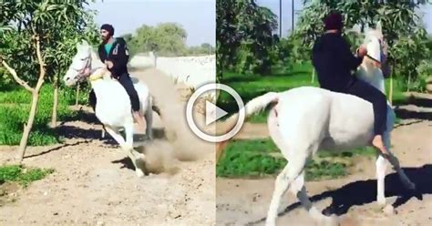 Ravindra Jadeja Flaunts His Horse Riding During Isolation