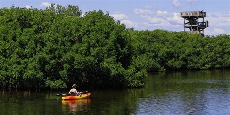 The First Woman to Kayak Down the Amazon River | Unearth Women