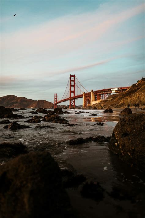 Brown Metal Bridge · Free Stock Photo