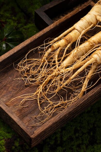 Premium Photo | Fresh ginseng root the amazing health benefits of ginseng you need to know ...